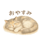 セラヴィの日常スタンプ（友達＆家族用）（個別スタンプ：15）
