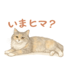 セラヴィの日常スタンプ（友達＆家族用）（個別スタンプ：16）