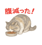 セラヴィの日常スタンプ（友達＆家族用）（個別スタンプ：21）