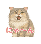 セラヴィの日常スタンプ（友達＆家族用）（個別スタンプ：23）