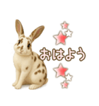 ウサギちゃんの家族連絡・友人・恋人（個別スタンプ：1）