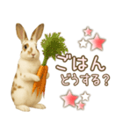 ウサギちゃんの家族連絡・友人・恋人（個別スタンプ：2）