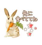 ウサギちゃんの家族連絡・友人・恋人（個別スタンプ：4）