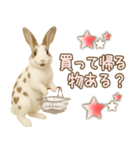 ウサギちゃんの家族連絡・友人・恋人（個別スタンプ：5）
