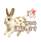ウサギちゃんの家族連絡・友人・恋人（個別スタンプ：9）