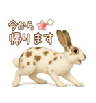 ウサギちゃんの家族連絡・友人・恋人（個別スタンプ：10）