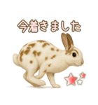 ウサギちゃんの家族連絡・友人・恋人（個別スタンプ：14）