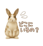 ウサギちゃんの家族連絡・友人・恋人（個別スタンプ：15）