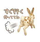 ウサギちゃんの家族連絡・友人・恋人（個別スタンプ：20）