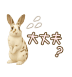 ウサギちゃんの家族連絡・友人・恋人（個別スタンプ：24）