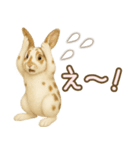 ウサギちゃんの家族連絡・友人・恋人（個別スタンプ：26）