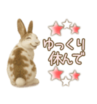 ウサギちゃんの家族連絡・友人・恋人（個別スタンプ：29）