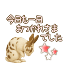 ウサギちゃんの家族連絡・友人・恋人（個別スタンプ：31）