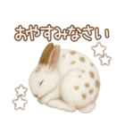 ウサギちゃんの家族連絡・友人・恋人（個別スタンプ：32）
