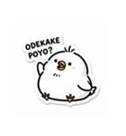 ひよこぽよちゃんの毎日スタンプ（個別スタンプ：31）
