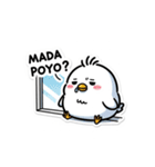 ひよこぽよちゃんの毎日スタンプ（個別スタンプ：33）