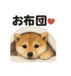 引きこもり芝犬の日常LINEスタンプ（個別スタンプ：2）