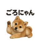 引きこもり芝犬の日常LINEスタンプ（個別スタンプ：6）