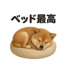 引きこもり芝犬の日常LINEスタンプ（個別スタンプ：7）
