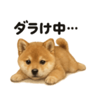 引きこもり芝犬の日常LINEスタンプ（個別スタンプ：14）