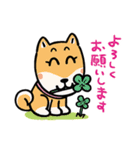 まあるい犬 まある（個別スタンプ：7）