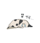 私はただのツイてない犬です。01（個別スタンプ：5）