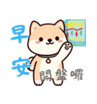 柴犬ベビーの株探検記 (漢字) Ver6（個別スタンプ：1）