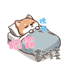 柴犬ベビーの株探検記 (漢字) Ver6（個別スタンプ：2）