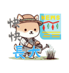 柴犬ベビーの株探検記 (漢字) Ver6（個別スタンプ：3）