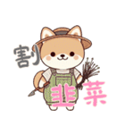 柴犬ベビーの株探検記 (漢字) Ver6（個別スタンプ：4）
