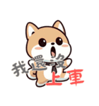 柴犬ベビーの株探検記 (漢字) Ver6（個別スタンプ：15）