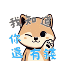 柴犬ベビーの株探検記 (漢字) Ver6（個別スタンプ：21）