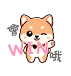柴犬ベビーの株探検記 (漢字) Ver6（個別スタンプ：22）