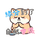 柴犬ベビーの株探検記 (漢字) Ver6（個別スタンプ：25）