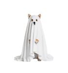 怖いけど可愛い！？おばけ風柴犬。（個別スタンプ：1）