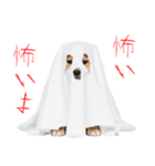 怖いけど可愛い！？おばけ風柴犬。（個別スタンプ：2）