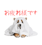 怖いけど可愛い！？おばけ風柴犬。（個別スタンプ：3）