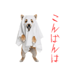 怖いけど可愛い！？おばけ風柴犬。（個別スタンプ：5）