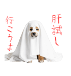怖いけど可愛い！？おばけ風柴犬。（個別スタンプ：8）