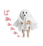 怖いけど可愛い！？おばけ風柴犬。（個別スタンプ：9）