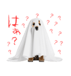 怖いけど可愛い！？おばけ風柴犬。（個別スタンプ：12）