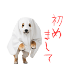 怖いけど可愛い！？おばけ風柴犬。（個別スタンプ：17）