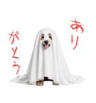 怖いけど可愛い！？おばけ風柴犬。（個別スタンプ：19）