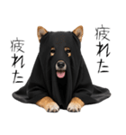 怖いけど可愛い！？おばけ風柴犬。（個別スタンプ：22）