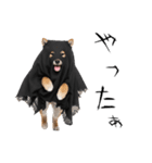 怖いけど可愛い！？おばけ風柴犬。（個別スタンプ：28）
