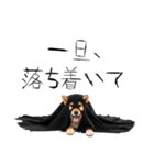 怖いけど可愛い！？おばけ風柴犬。（個別スタンプ：29）