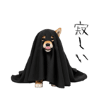 怖いけど可愛い！？おばけ風柴犬。（個別スタンプ：30）