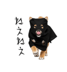 怖いけど可愛い！？おばけ風柴犬。（個別スタンプ：32）