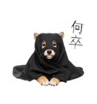 怖いけど可愛い！？おばけ風柴犬。（個別スタンプ：34）