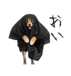 怖いけど可愛い！？おばけ風柴犬。（個別スタンプ：37）